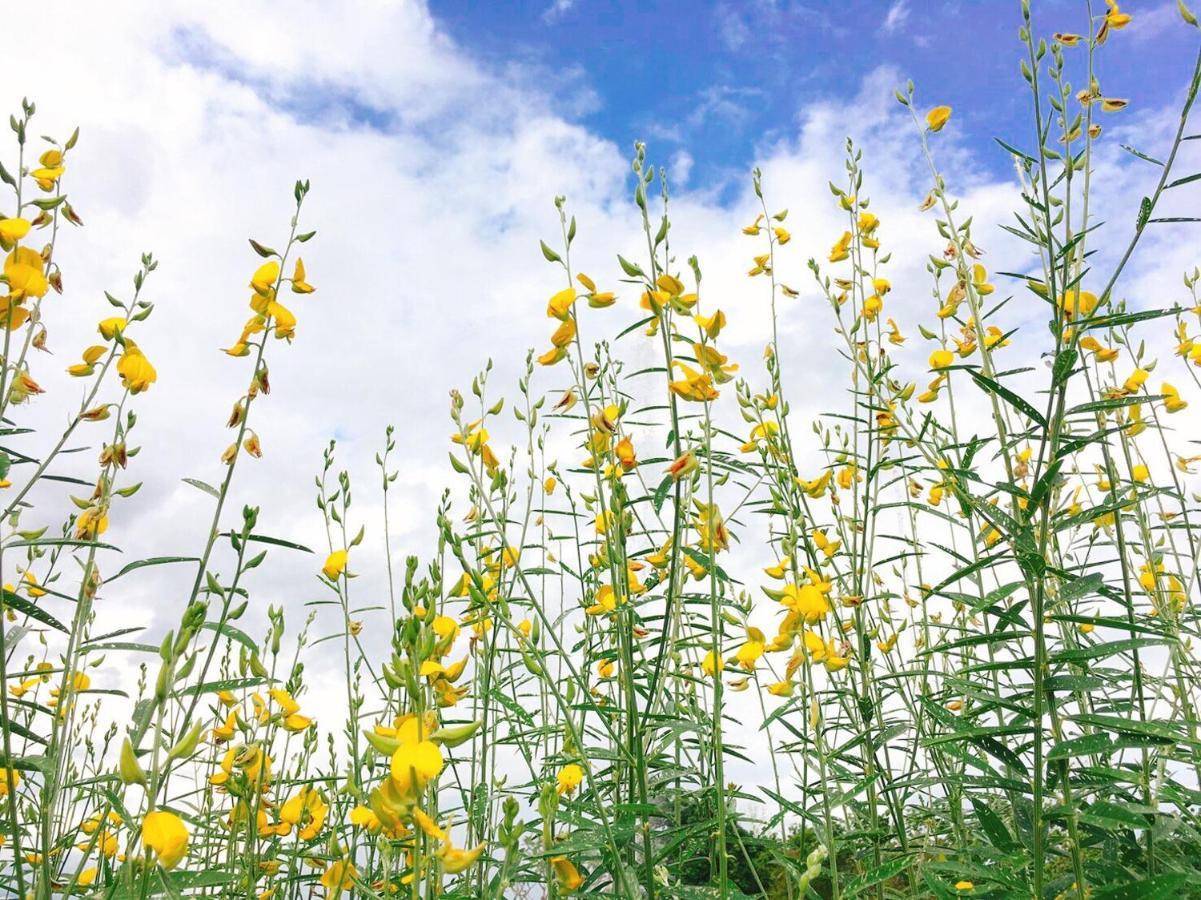 Chapulin Natural Resort チエンマイ エクステリア 写真